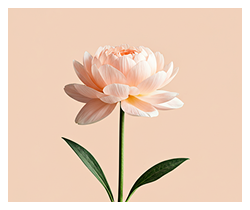 Flower Shop Section Img 2