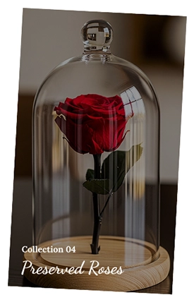 Preserved Roses Collections img N