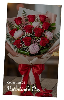 Valentine’s Day Collections Img N