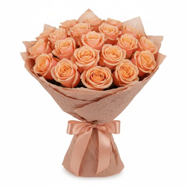 Eternal Blush-21 Peach Roses