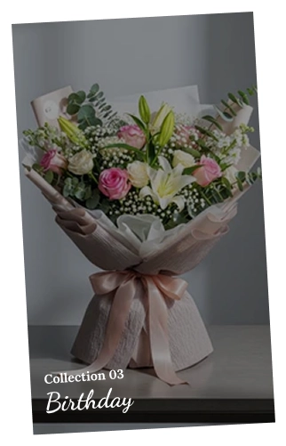Birthday Collection