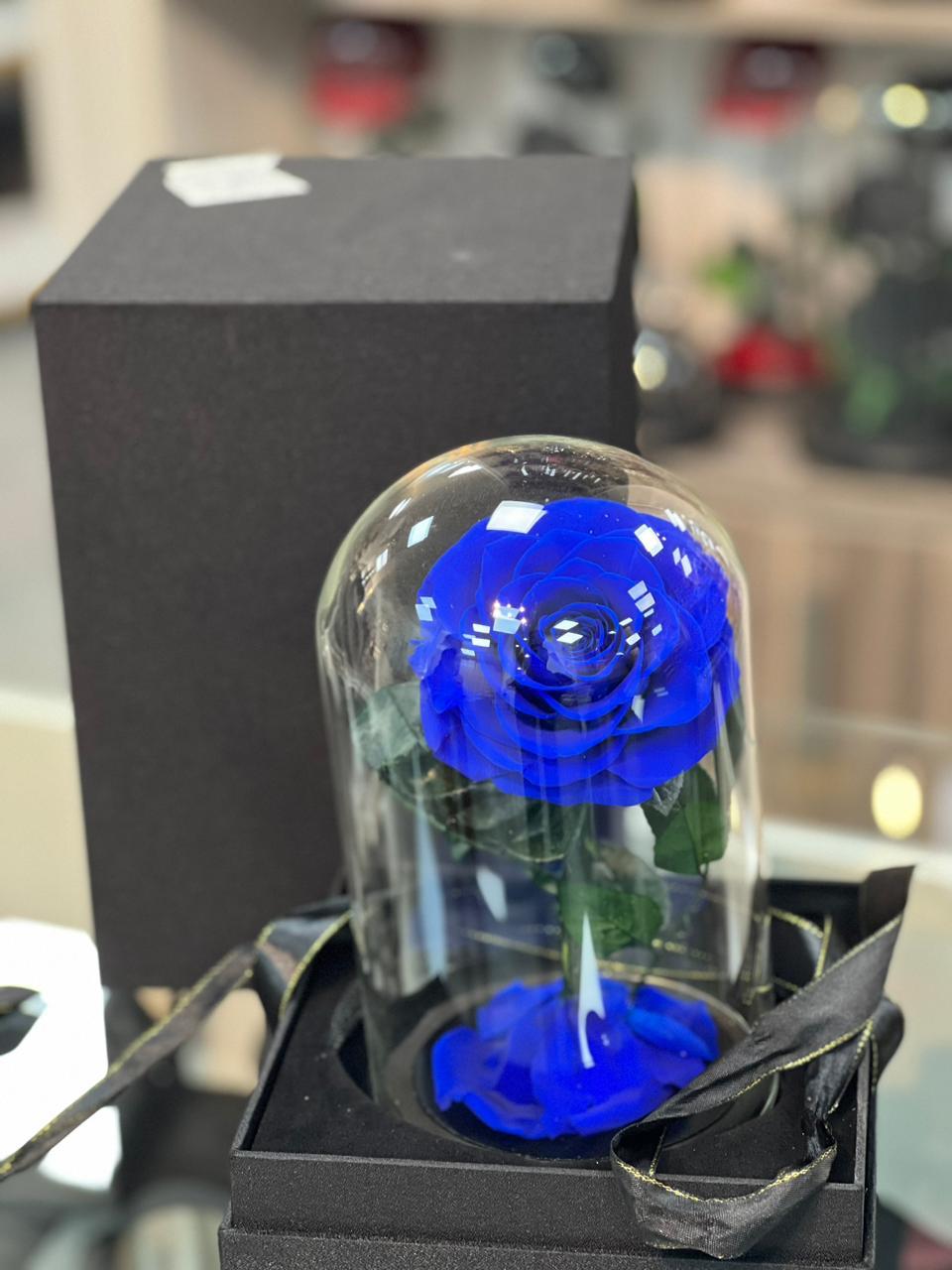 Sapphire Charm – Blue Preserved Rose