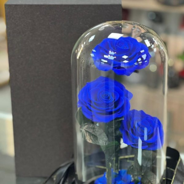 Azure Charm – Preserved Blue Roses