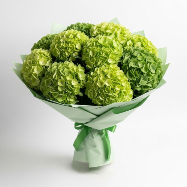 Emerald Glow – Green Hydrangea Bouquet