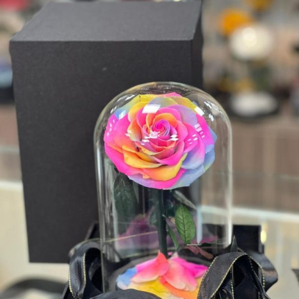 Spectrum of Love – Rainbow Preserved Rose