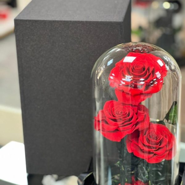 Scarlet Trio – Preserved Red Roses