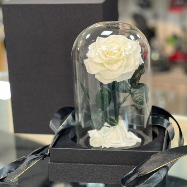 Snowy Bliss – Preserved White Rose