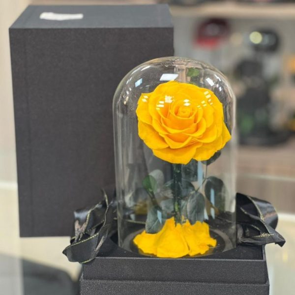Golden Glow – Yellow Preserved Rose