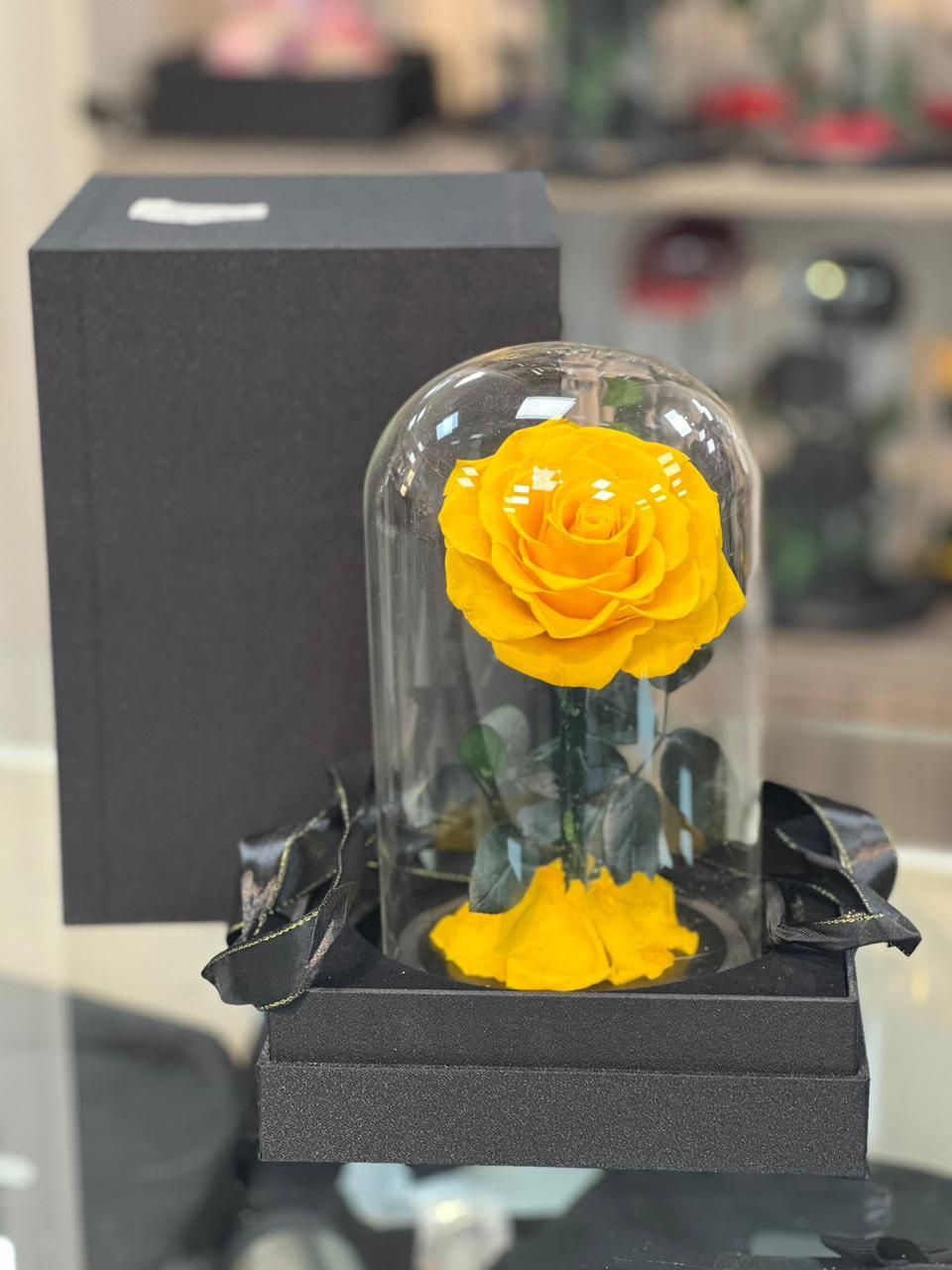 Golden Glow – Yellow Preserved Rose